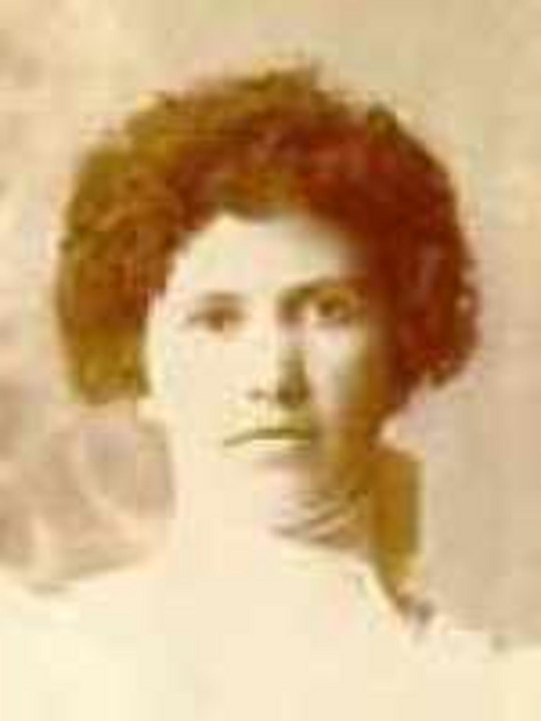 Emily Almina Beal (1839 - 1903) Profile